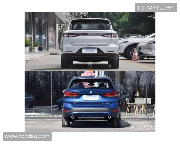 vs通行码价格揭秘及购买渠道详解让你轻松出行无忧